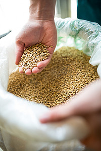 專業谷物加工 筑牢食品安全與品質制造的源頭防線