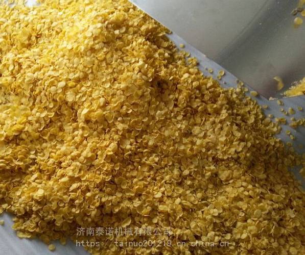 SCTN70B膨化玉米片設備 早餐谷物玉米片加工的全套解決方案