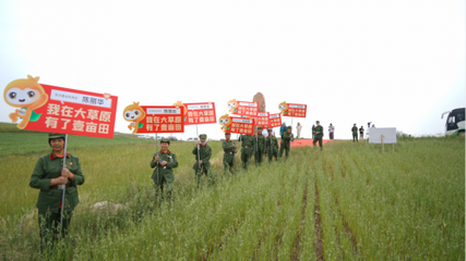 淺談燕谷坊全谷物數(shù)字化布局之數(shù)據(jù)載體 燕麥小屋與谷物加工的協(xié)同創(chuàng)新